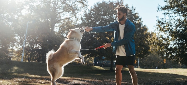 a man playing catch with a dog, which is one of the best pet-friendly fitness activities out there
