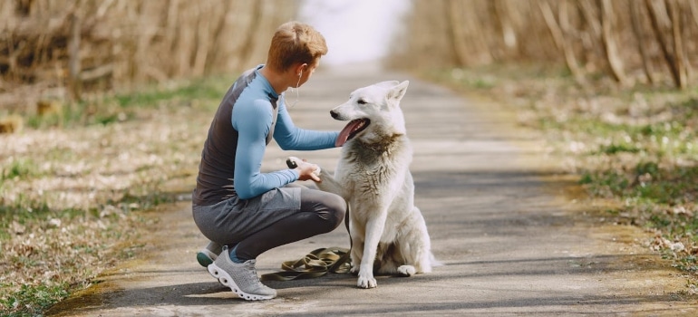 a runner petting a dog